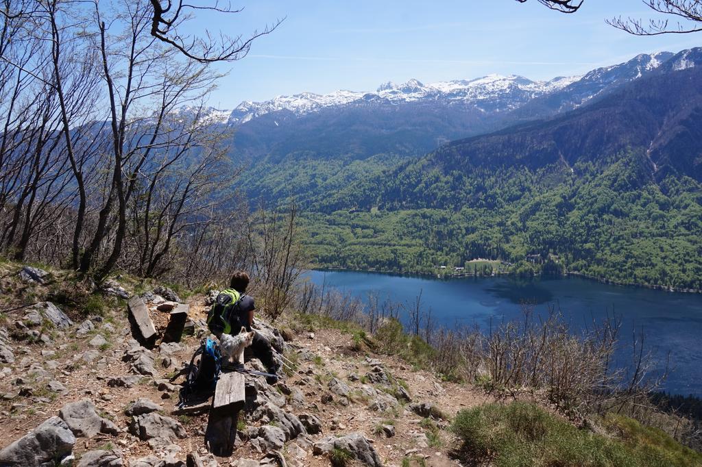 Hike & Bike Chalet Bohinj Exterior foto